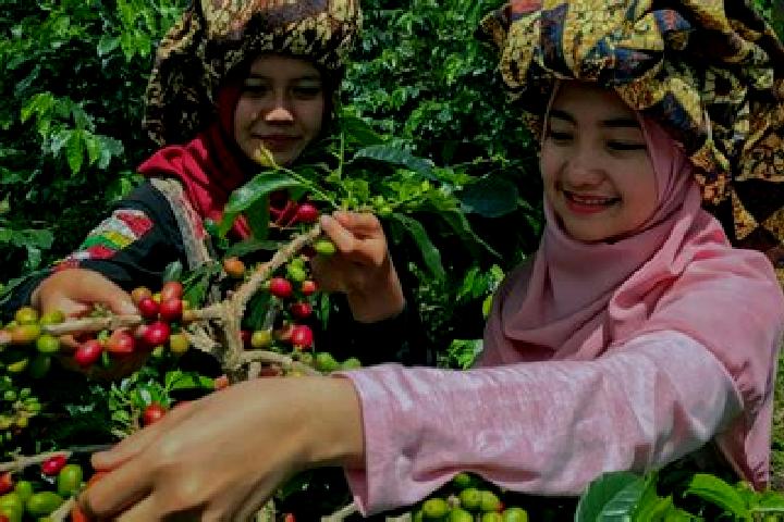 Nova, 36 — Escort in Bean, Indonesia