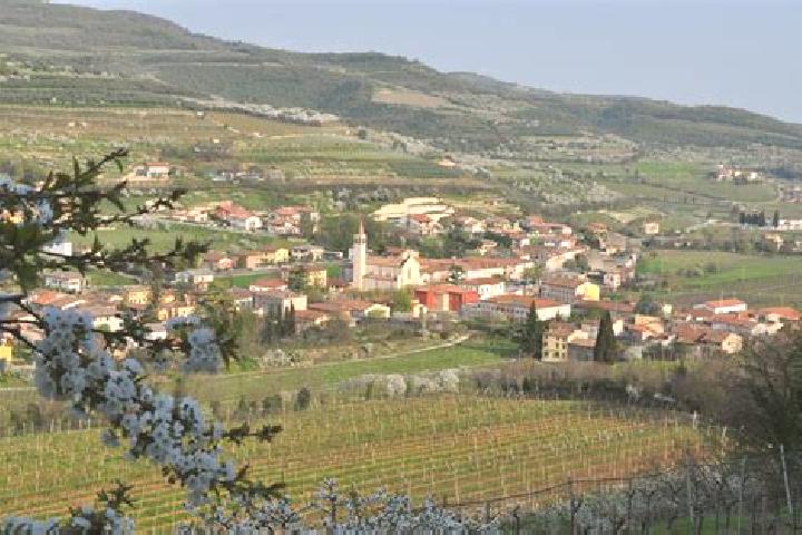 Nova, 36 — Escort in Cazzano di Tramigna, Italy