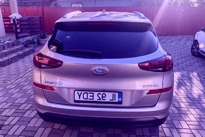 Nova, 36 — Escort in Fierbintii de Jos, Romania