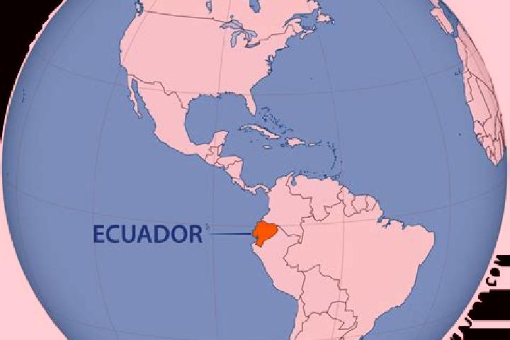 Nova, 36 — Escort in Guanujo, Ecuador