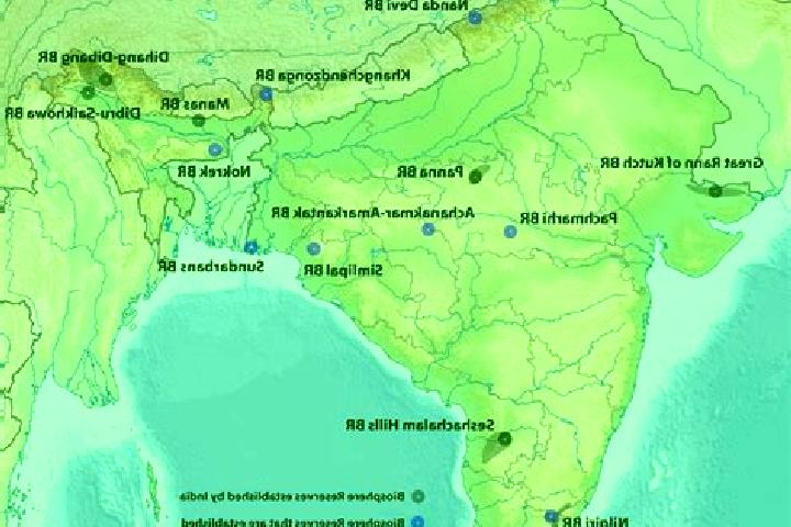 Nova, 36 — Escort in Rakkiyapalaiyam, India
