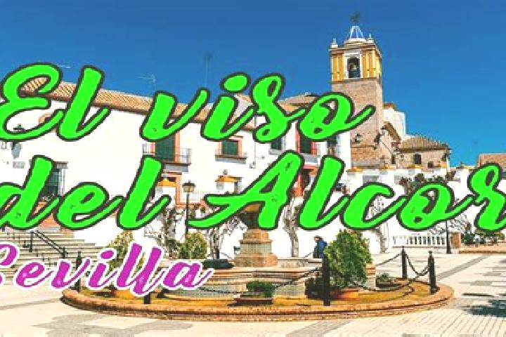 Nova, 36 — Escort in Santa Cecilia del Alcor, Spain