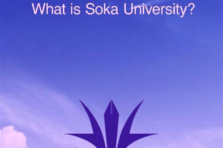 Nova, 36 — Escort in Soka, Japan