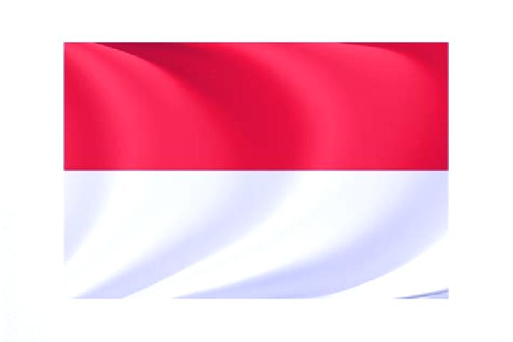 Nova, 36 — Escort in Sridadi, Indonesia