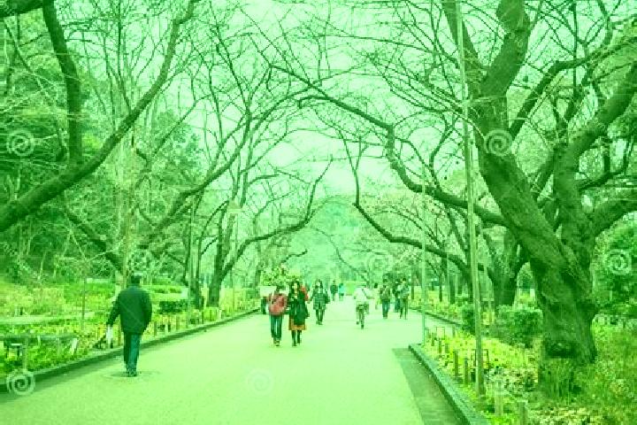 Nova, 36 — Escort in Ueno-ebisumachi, Japan
