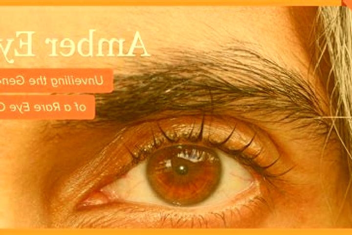 Nova, 37, a black amber-eyed european companion based in Cisarap. Offering A-Level, Travel Companion, Massage. Available for incall and outcall, day and even...