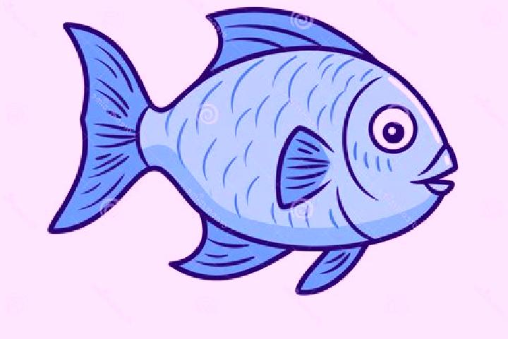 Nova, 37 — Escort in Agua de Pescadito, Mexico