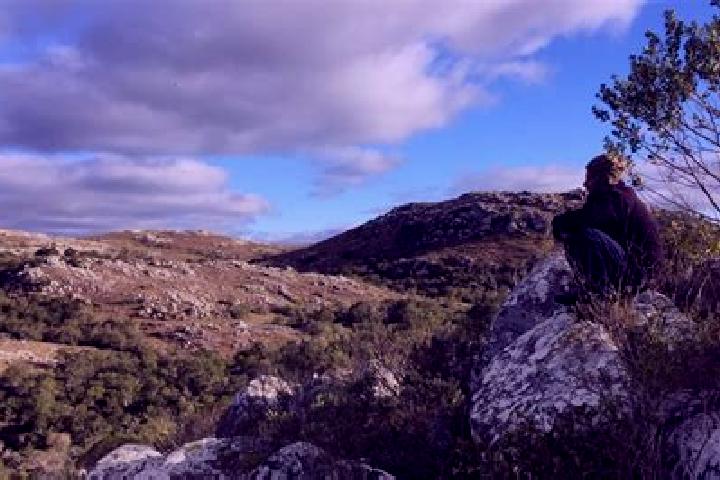 Nova, 37 — Escort in Aigua, Uruguay