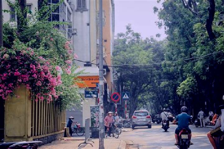 Nova, 37 — Escort in Ba Dinh, Vietnam