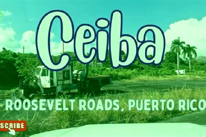 Nova, 37 — Escort in Ceiba, Puerto Rico
