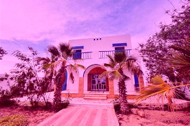 Nova, 37 — Escort in El Mgarsa, Tunisia