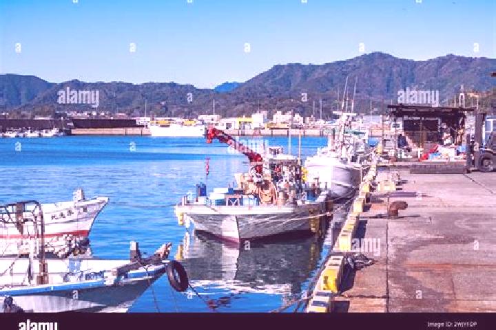 Nova, 37 — Escort in Kadogawa, Japan