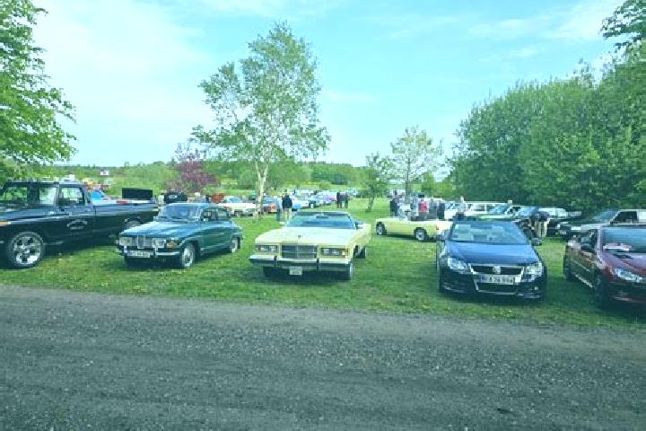 Nova, 37 — Escort in Rodding, Denmark