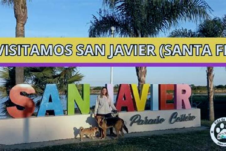 Nova, 37 — Escort in San Javier, Argentina
