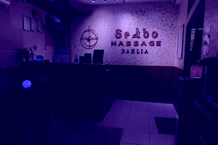 Nova, 37 — Escort in Sebo, Indonesia
