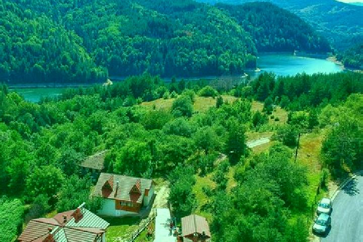 Nova, 38 — Escort in Berovo, North Macedonia