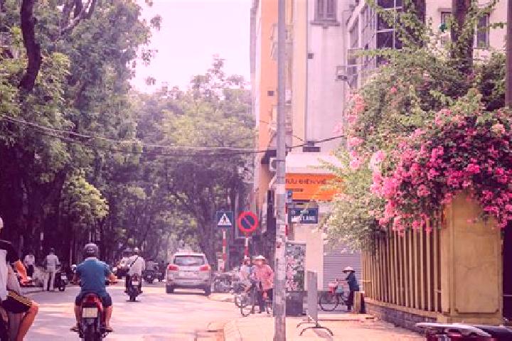 Nova, 38 — Escort in Cai GJoi Vam, Vietnam