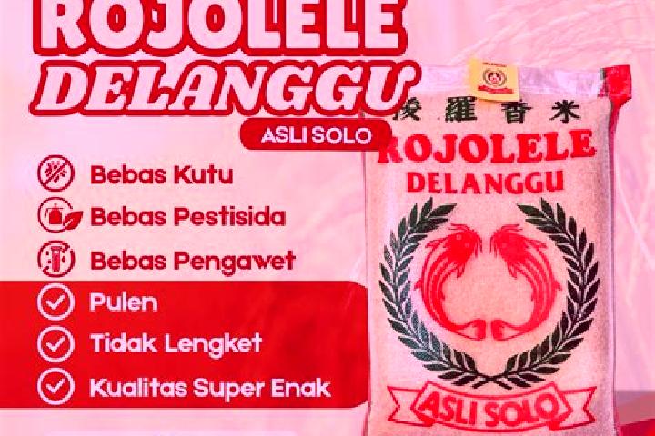 Nova, 38 — Escort in Delanggu, Indonesia