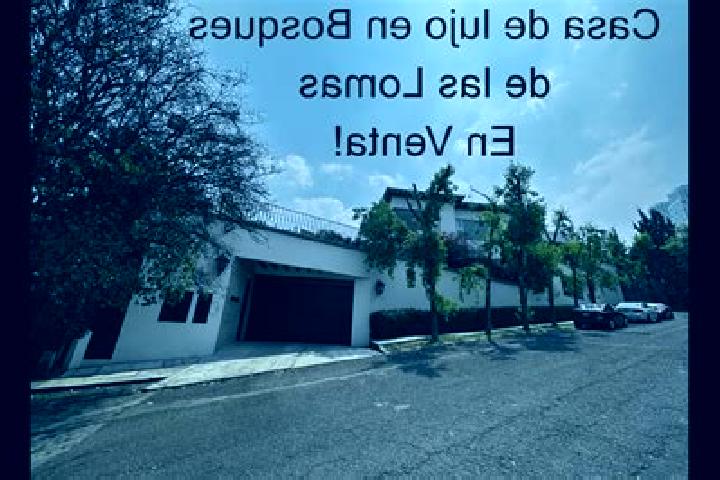 Nova, 38 — Escort in Dos Lomas, Mexico