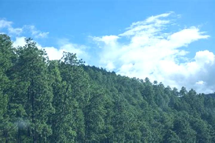 Nova, 38 — Escort in El Pino, Honduras