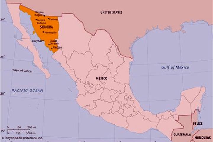 Nova, 38 — Escort in Norias del Refugio, Mexico