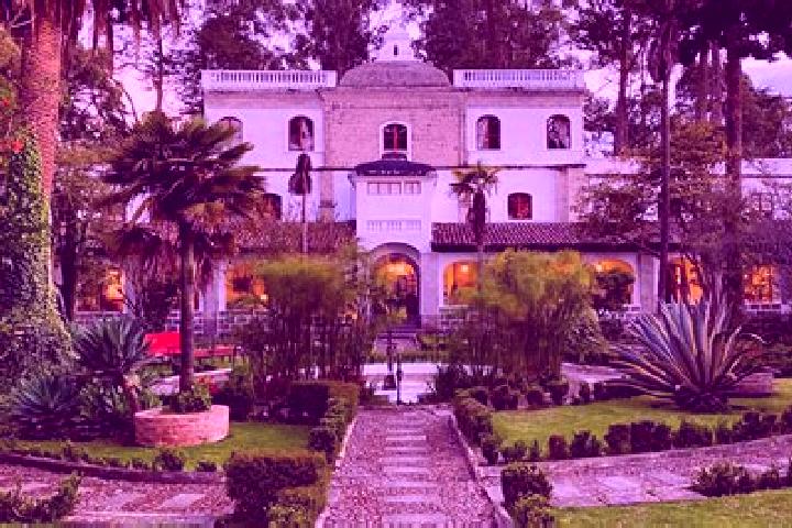 Nova, 38 — Escort in Nuevo Tenancingo, Mexico