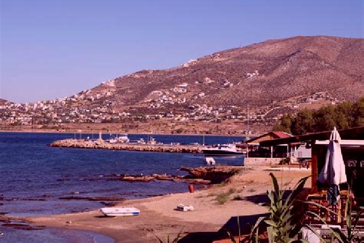 Nova, 38 — Escort in Palaia Fokaia, Greece