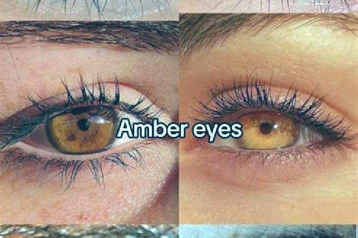Nova, 39, a chestnut amber-eyed mixed companion based in Brantville. Offering Domination, Prostate Massage, Deep French Kissing. Available for incall and out...