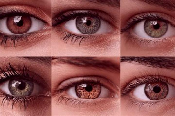 Nova, 39, a red hazel-eyed mediterranean companion based in Akcira. Offering Roleplay, Domination, Girlfriend Experience, Fetish. Available for incall and ou...