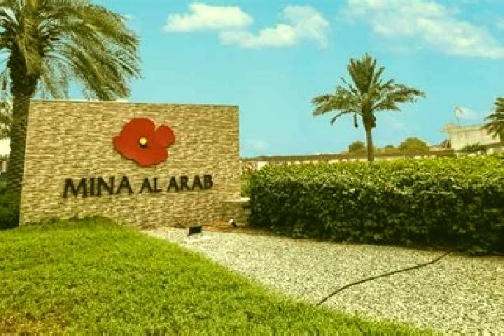 Nova, 39 — Escort in Al Judayyidah, Palestine