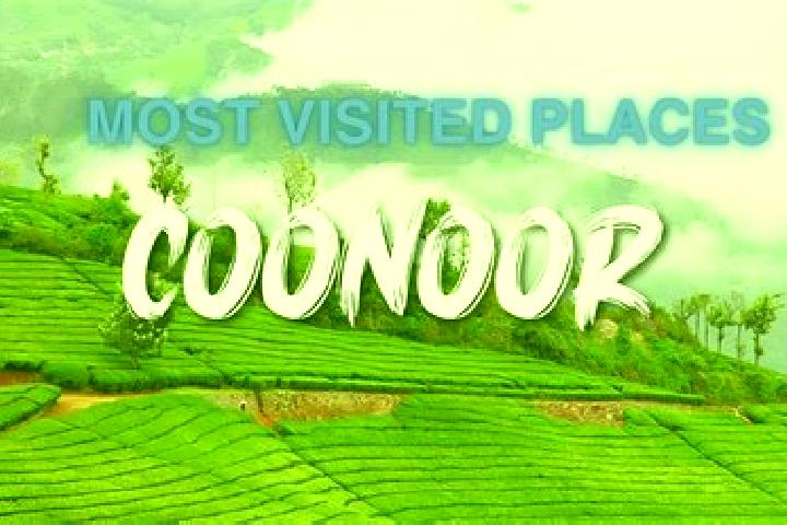 Nova, 39 — Escort in Coonoor, India
