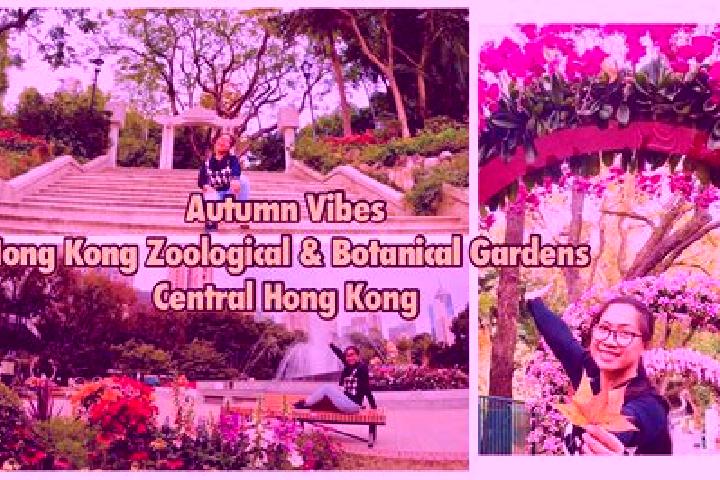 Nova, 39 — Escort in Healthy Gardens, Hong Kong