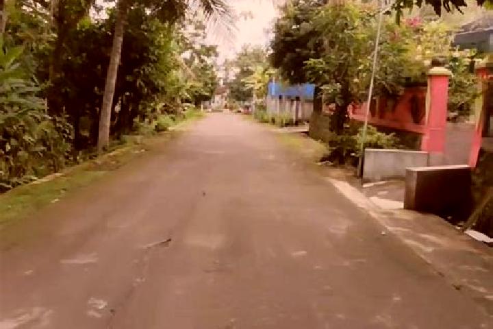 Nova, 39 — Escort in Krajan Kedungsalam, Indonesia