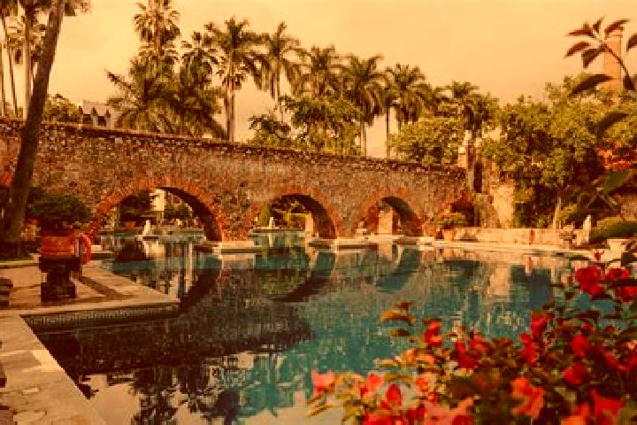 Nova, 39 — Escort in Mezquite Gordo, Mexico