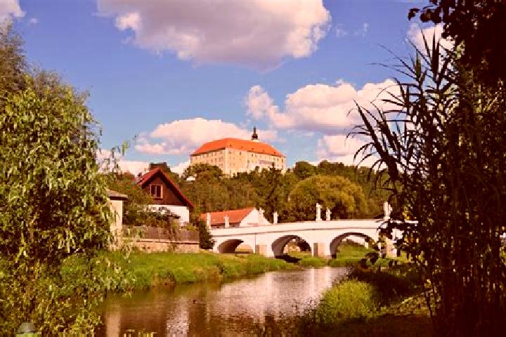 Nova, 39 — Escort in Ostrov nad Oslavou, Czech Republic