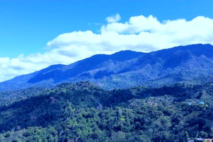 Nova, 39 — Escort in San Jose del Potrero, Honduras
