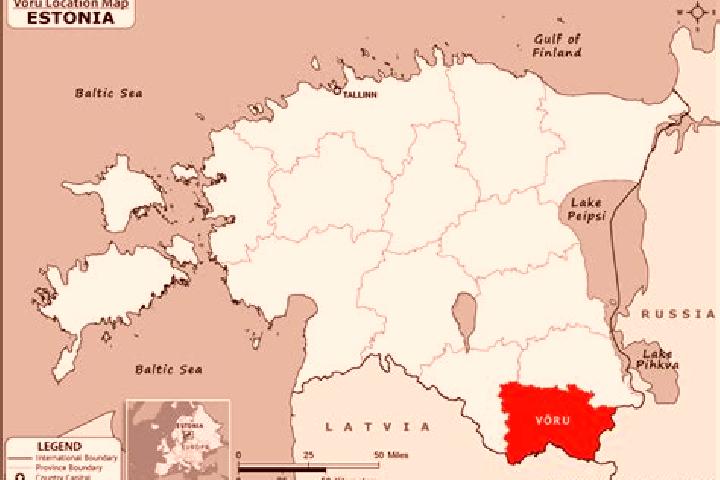 Nova, 39 — Escort in Voru, Estonia