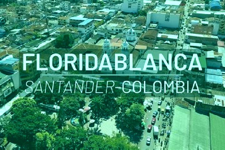 Olivia, 20 — Escort in Floridablanca, Colombia