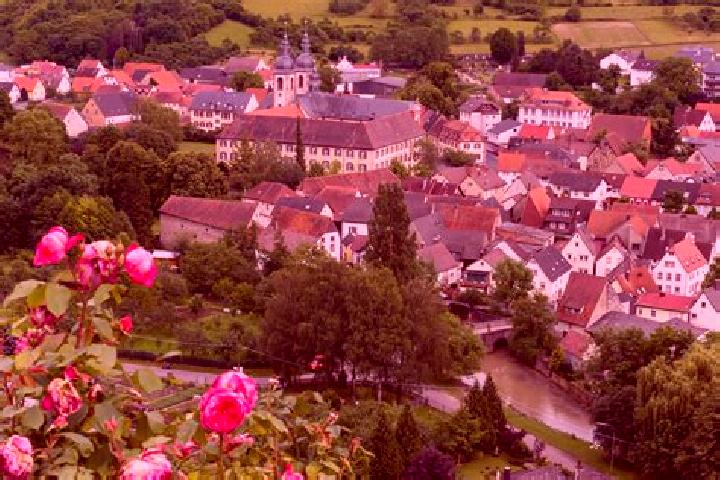Olivia, 20 — Escort in Lauda-Konigshofen, Germany