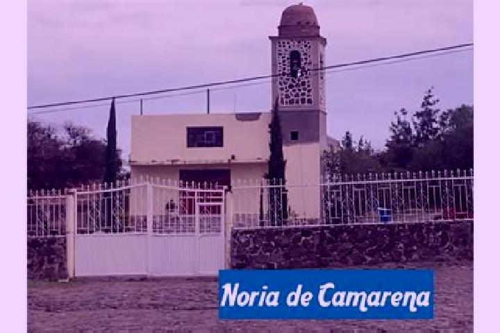 Olivia, 20 — Escort in Noria de Camarena, Mexico