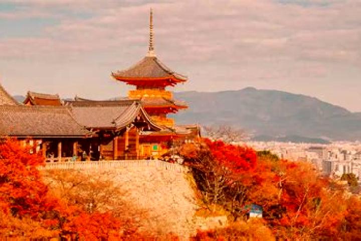 Olivia, 20 — Escort in Otawara, Japan