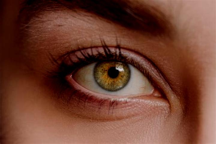 Olivia, 21, a chestnut hazel-eyed mixed companion based in Madonna di Campagna. Offering Domination, BDSM, CIM. Available for incall and outcall, overnight b...