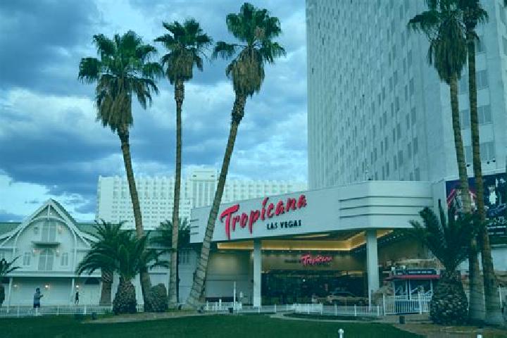 Olivia, 21 — Escort in Las Taponas, Mexico