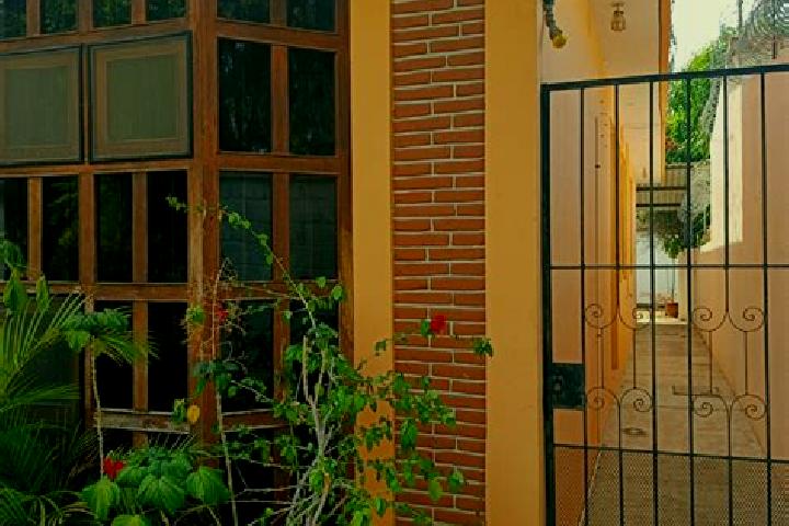 Olivia, 21 — Escort in San Pedro Mixtepec Distrito Veintiseis, Mexico