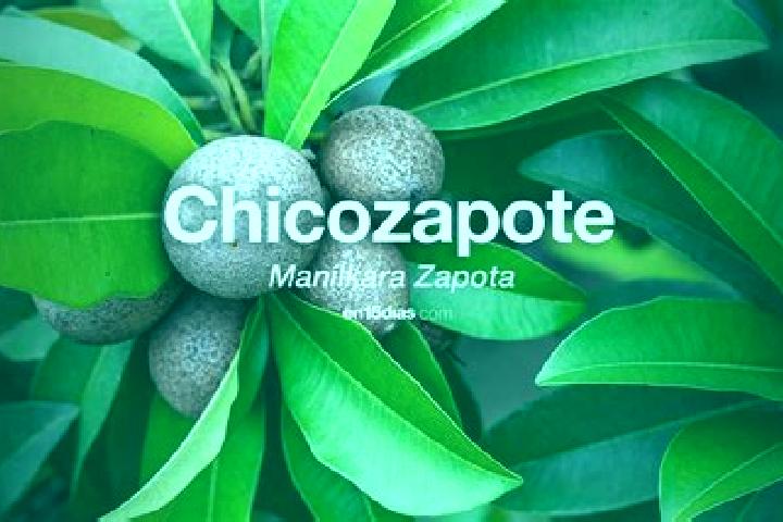 Olivia, 21 — Escort in Santa Maria del Zapote, Mexico