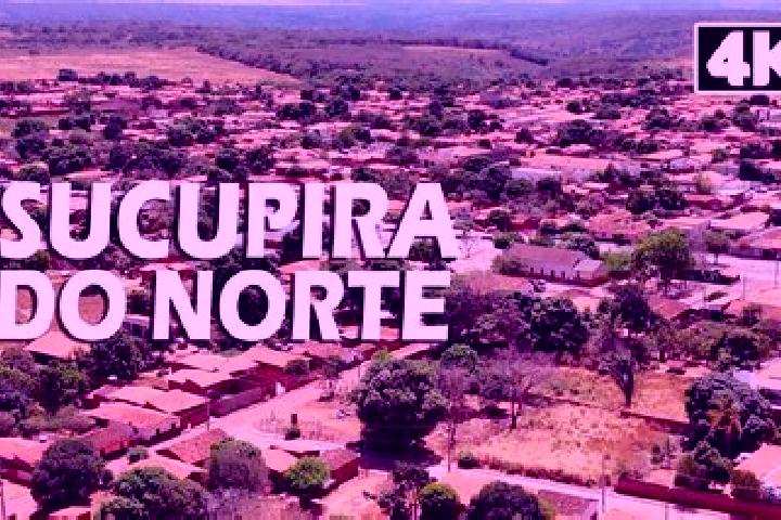Olivia, 21 — Escort in Sucupira do Norte, Brazil