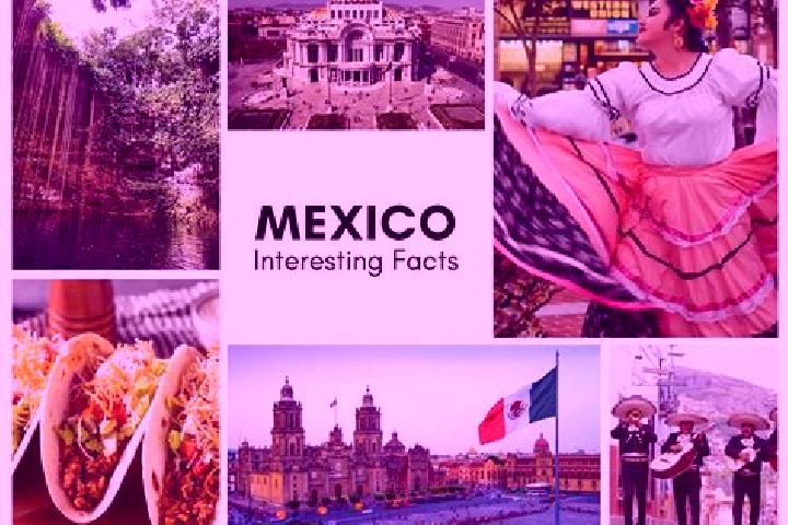Olivia, 21 — Escort in Zopo Norte, Mexico