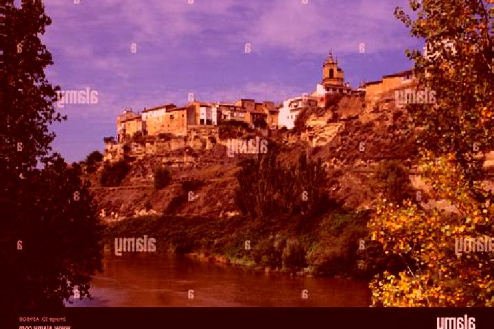 Olivia, 22 — Escort in Lapuebla de Labarca, Spain