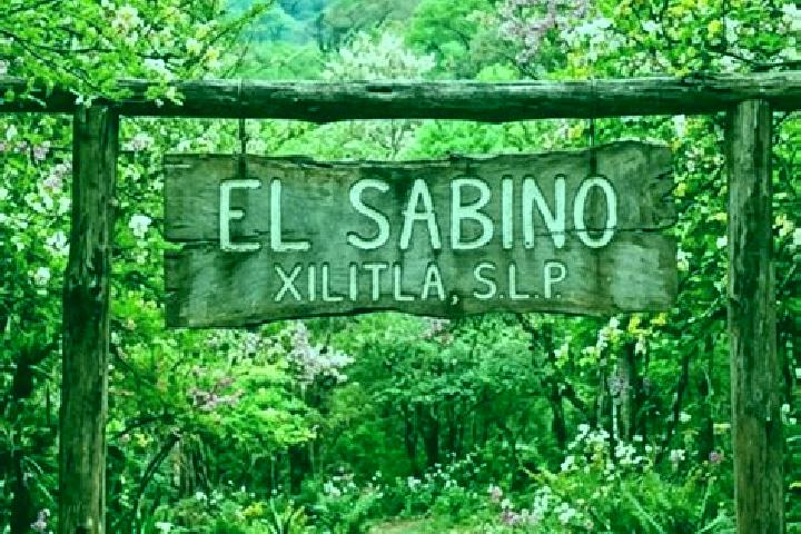 Olivia, 22 — Escort in Sabino Buenavista, Mexico