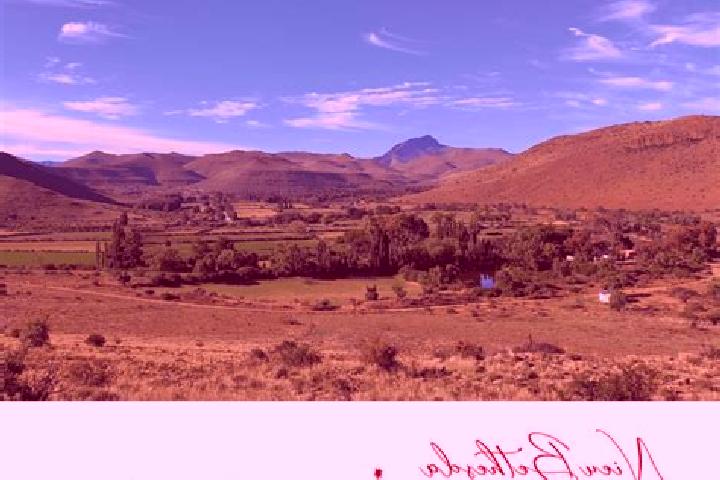 Olivia, 23 — Escort in Nieu-Bethesda, South Africa